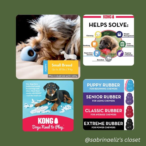 ***NEW*** Kong Puppy - Blue - 3-Pack - Picture 3 of 3